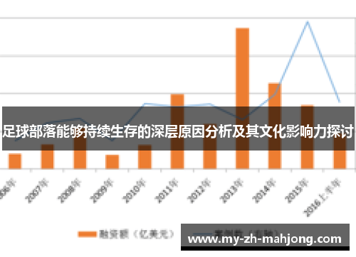 足球部落能够持续生存的深层原因分析及其文化影响力探讨