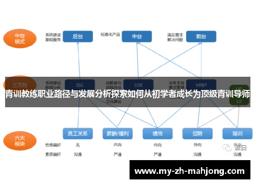 青训教练职业路径与发展分析探索如何从初学者成长为顶级青训导师 青训教练职业路径与发展分析探索如何从初学者成长为顶级青训导师